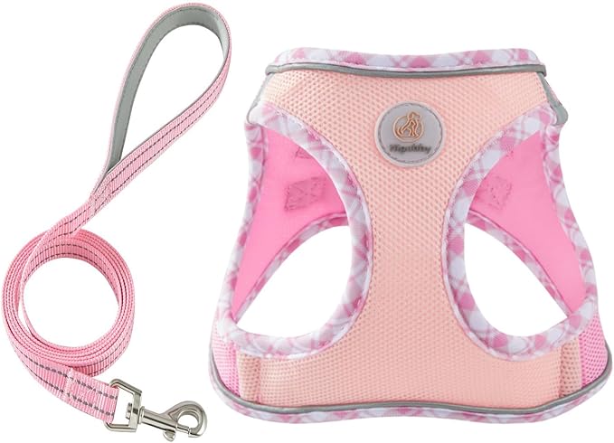 Hipubby Dog Harness Small Sized and Leash Set, No Pull Soft Mesh Puppy Vest, Reflective Breathable Lightweight Pet Harness, Harness for Small Medium Dogs and Cats - Light Pink L
