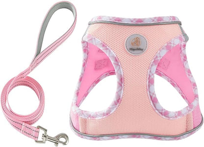 Hipubby Dog Harness Small Sized and Leash Set, No Pull Soft Mesh Puppy Vest, Reflective Breathable Lightweight Pet Harness, Harness for Small Medium Dogs and Cats - Light Pink M