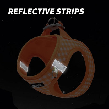 AIITLE Dog Harness and Leash Set, Reflective Adjustable Soft Mesh Vest with Plaid Print for Small Dogs – Breathable No-Pull Design for Daily Walks & Outdoor Adventures (XXS, Orange)