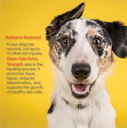 Derm Tabs Extra Strength for Dogs - Natural Oil, Vitamins, Minerals, and Antioxidants - Support Healthy Skin and Reduce Shedding -60 Chewable Tablets