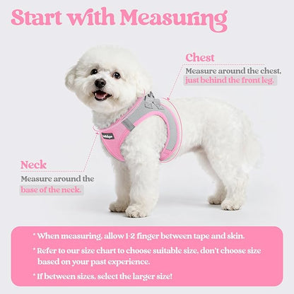 rabbitgoo Dog Harness Small Medium Sized and Leash Set, Step in Soft Light Puppy Vest, Breathable Mesh Pet Harness, Reflective for Safe Easy Walking, Pink & Gray L