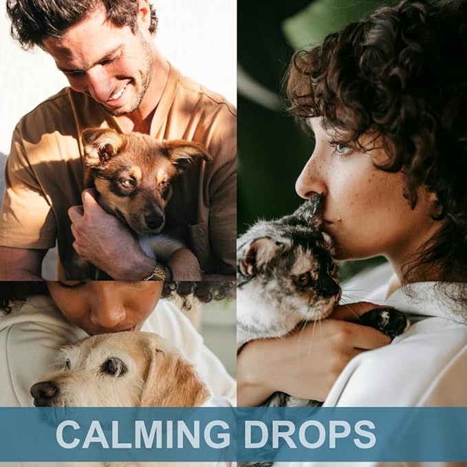Dogs and Cats Calming Drops - Calmness and Pets Well-Being - 6 in 1 Formula with L-Theanine Valerian Lemon Balm Chamomille - 120 Servings - Made in USA - Bacon Flavor 4oz