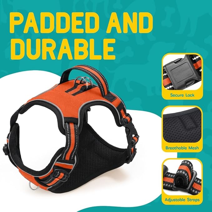 No Pull Dog Harness and Leash Set for Extra Large Dogs – Adjustable Reflective Breathable Soft Padded Easy Control Dog Harness for Training & Walking, Orange (X-Large)