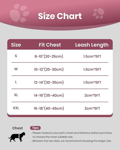 FAYOGOO Cat Harness, Cat Leash and Harness Set for Walking Escape Proof, Harness for Small Cats/Small Dogs, Large Kitten/Puppy Harness and Leash, Harness for Cats S-XXL(Pink, X-Large)