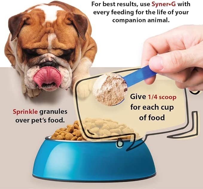 PHS Syner-G Digestive Enzymes Supplement for Dogs and Cats - Alpha-Amylase, Lipase, Cellulase, and Protease - Digestion Support, Absorption of Nutrients, Skin Health - 454 Grams