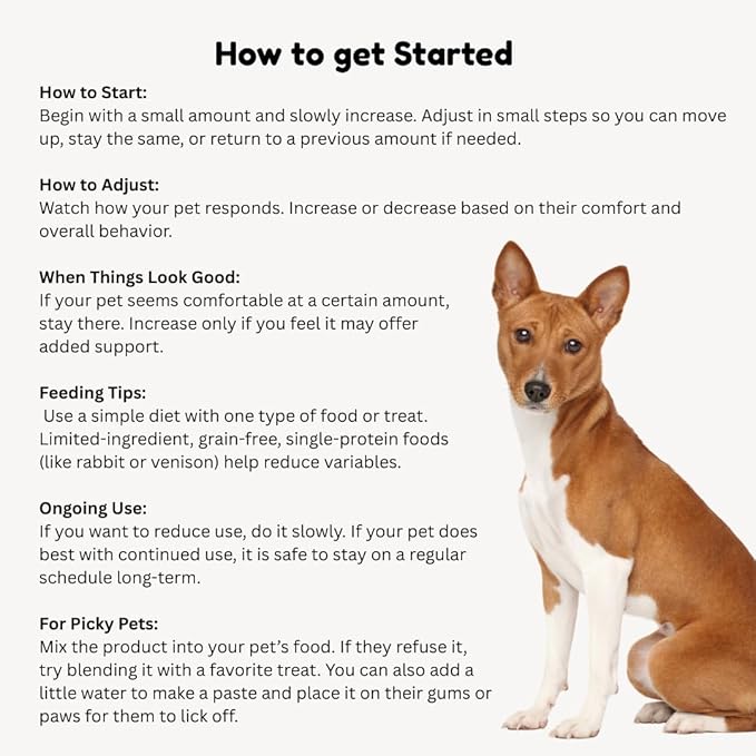 Vitality Science Celloquent Gold for Dogs | Holistic Advanced Immune Support Supplement | 17 Proven Ingredients | Auto Immune, Vomiting and Diarrhea, Depression (60g)