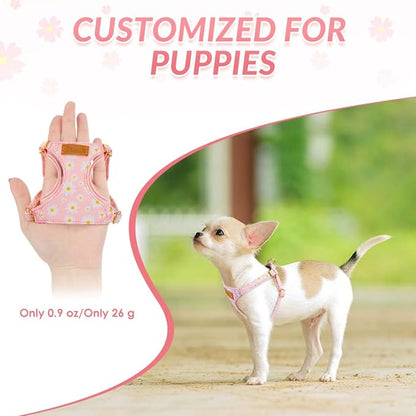 Lukovee Puppy Harness and Leash Set, No Pull Lightweight Soft Suede Adjustable Pet Harness Vest with Snap Buckle for Puppy Small and Medium Size Dog (Pink-XXS)