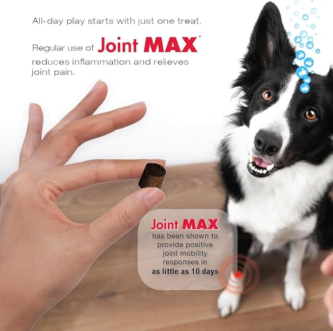 TS Joint Supplement Vet Formulated Pain & Inflammation Relief Treats Hip Dysplasia & Arthritis.Glucosamine, Chondroitin, Turmeric, MSM, HA, Creatine, Omega 3 EPA+DHA. All Dogs 240 Soft Chews