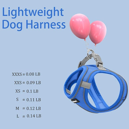 Solmoony Sparkly XS Dog Harness and Leash Set, Step in Soft Light Puppy Vest, Breathable Reflective Pet Harness for Walking, Puppy Harness for Small Dogs Cats (Blue, XS)