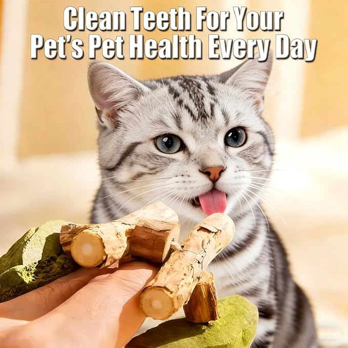 3PCS Cat Dental Toys Health Chew Creative Fishbone Shape Teething with Catnip Fix Your Cat’s Health Natural Wooden Teeth Cleaning Stick Multi Flavor Options Durable Feline Tooth Care Tool