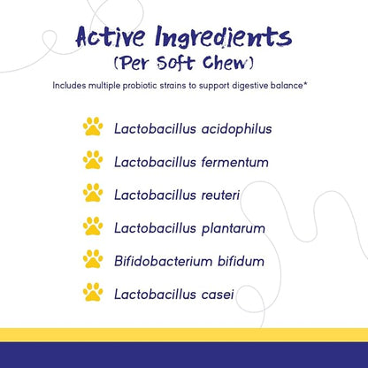 PupGrade Digestive Support for Dogs - Prebiotic + Probiotic Supplement with Enzyme Blend - Gut and Immune Support - Pumpkin, Blueberry, Mineral Oil, Duck Flavor - 360 Soft Chews