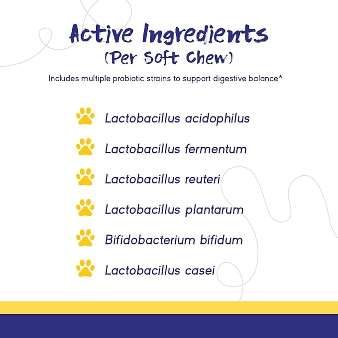 PupGrade Digestive Support for Dogs - Prebiotic + Probiotic Supplement with Enzyme Blend - Gut and Immune Support - Pumpkin, Blueberry, Mineral Oil, Duck Flavor - 180 Soft Chews