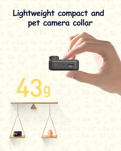 2K Pet Collar Camera with Phone 32GB SD Card 20MP Dog Collar Camera, PetCamera with Remote, Accessories Newly Upgraded Multifunctional ActionCamera