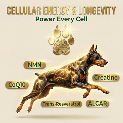 Dog Longevity Supplement - NMN, NAD+, CoQ10 All Breeds & Ages-Active & Senior Dog Vitamins - 14 Ingredients for Brain Health, Energy & Cellular Vitality - Made in USA - 90 Chews