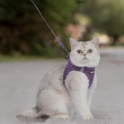 Voyager Step-in Pet Harness - All Weather Mesh, Adjustable Step in Harness for Cats and Dogs by Best Pet Supplies - 307S Purple, M