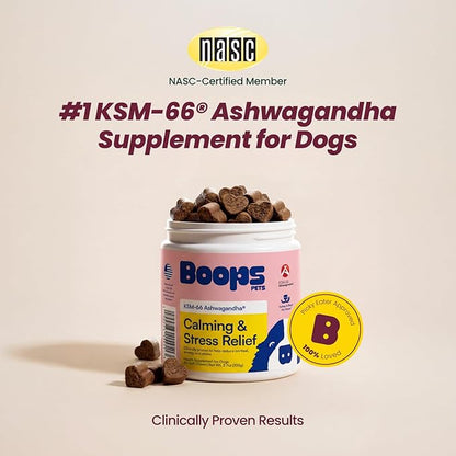 Calming Chews for Dogs – KSM-66 Ashwagandha, L-Theanine & Melatonin – Supports Relaxation & Calm Behavior – Great for Storms, Fireworks, Travel & Vet Visits – Turkey & Beef Flavor