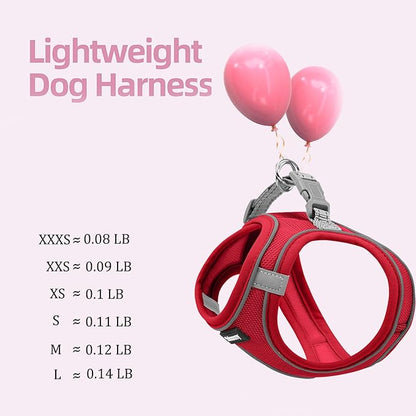 Solmoony Sparkly Small Dog Harness and Leash Set, Step in Soft Light Puppy Vest, Breathable Reflective Pet Harness for Walking, Puppy Harness for Small Dogs Cats (Red, S)