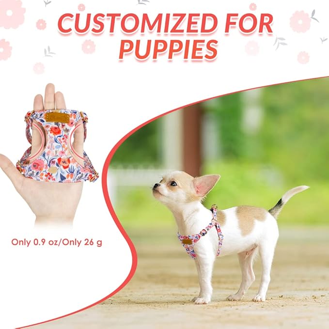 Lukovee Puppy Harness and Leash Set, No Pull Lightweight Soft Suede Adjustable Pet Harness Vest with Snap Buckle for Puppy Small and Medium Size Dog (Flower-S)