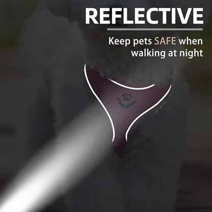 PUPTECK Soft Mesh Dog Harness and Leash Set Pet Puppy Cat Comfort Padded Vest No Pull Harnesses