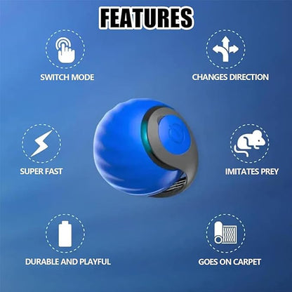 Speedy 2.0 Tail Interactive Cat Toys for Indoor Cats, Automatic Cat Toy with Tail, Electric Rolling Ball on Carpet,Cat Toys for Bored Indoor Adult Cats (Blue)