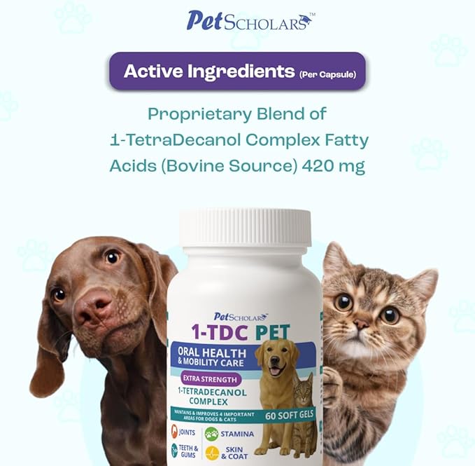 1TDC Dental & Joint Health Softgel Supplement for Dogs & Cats, Supports Oral Health, Stamina, Mobility, Muscle Strength & Recovery, Maintains Skin & Coat Health of Pets (60 Soft Gels)