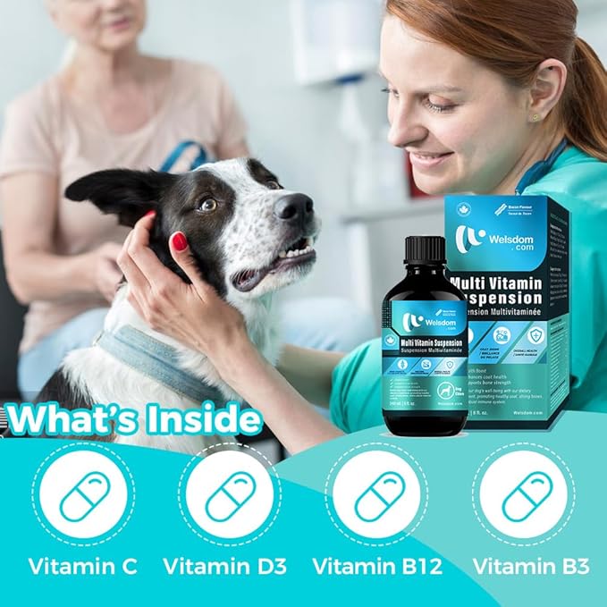 Pets Comprehensive Multi-Vitamin Suspension for Dogs - 240mL | Supports Skin, Coat, Bone & Immune Health | Boosts Vitality with Easy Liquid Dosing