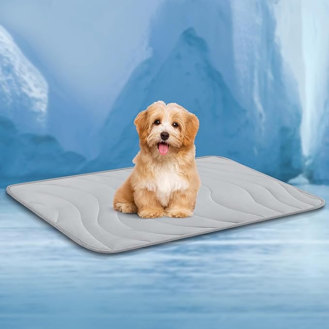 Cozyide Dog Cooling Mat, Medium Cooling Mat for Dogs, Reversible Pad for Pet, 28" L x 22" W, Light Grey