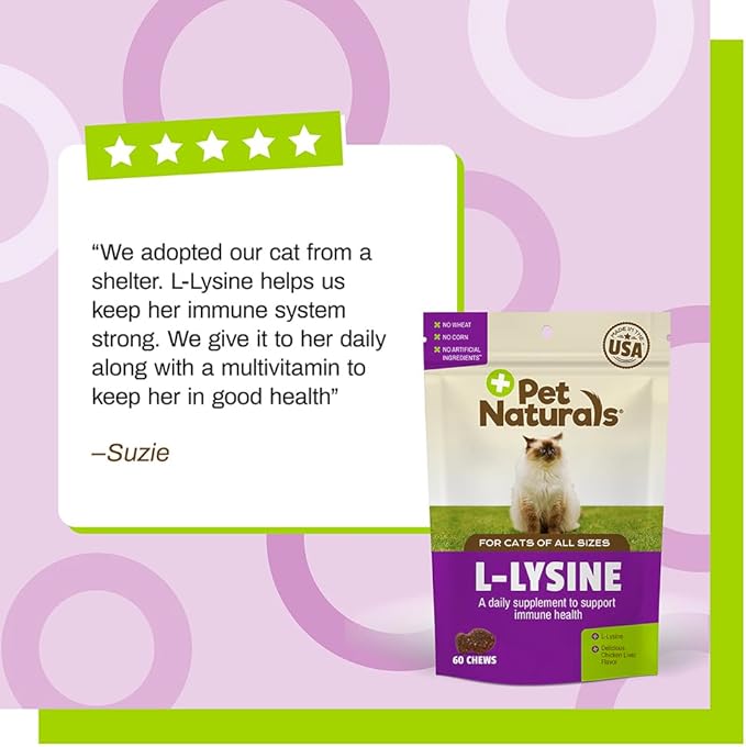 Pet Naturals Lysine for Cats,Chicken Flavor,60 Chews - Immune and Respiratory Support for Cats - No Wheat or Corn - Vet Recommended,(Pack of 2)