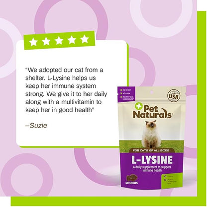 Pet Naturals Lysine for Cats,Chicken Flavor,60 Chews - Immune and Respiratory Support for Cats - No Wheat or Corn - Vet Recommended,(Pack of 2)