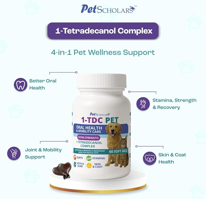 1TDC Dental & Joint Health Softgel Supplement for Dogs & Cats, Supports Oral Health, Stamina, Mobility, Muscle Strength & Recovery, Maintains Skin & Coat Health of Pets (60 Soft Gels)