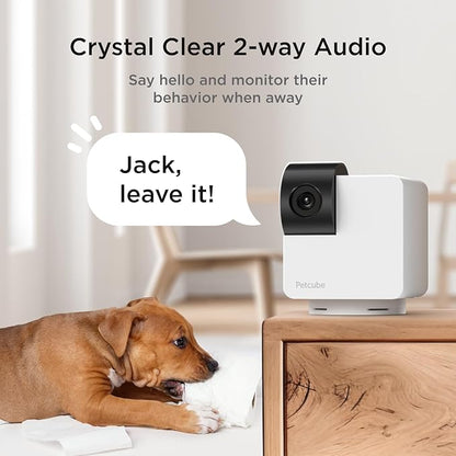 Petcube Pan-Tilt Cam 360° View The Pack of 2 Cameras – 1080p HD Dome Camera, WiFi Pet & Home Security, Complete 360° Surveillance, Night Vision, AI Alerts