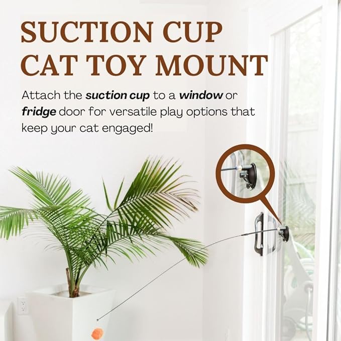 Interactive Cat Toys for Indoor Cats - Retractable Fishing Pole Teaser Wand - Suction Cup Window Mount - Hanging Door Bouncer - 9 Feather Attachments - Bored Adult Feline Activity - Kitten Juguetes