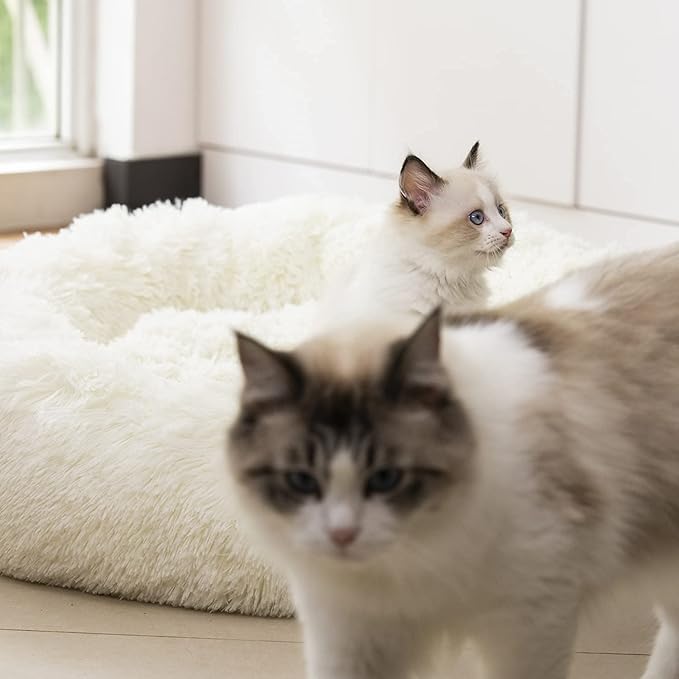 Anti Anxiety Round Fluffy Plush Faux Fur Warm Washable Dog Bed & Cat Bed, Original Bed for Small Medium Large Pets,Used to Relieve Joints and Improve Sleep（20"/24"/27''） (20", White)