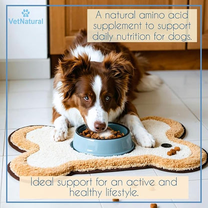 Doggy Supps Taurine for Dogs, 99.99% Pure Taurine Powder – Immune Support, Boost Energy, Skin & Coat Health for Heart, Vision & Daily Wellness – Easy to Mix in Food, Includes Measuring Spoon