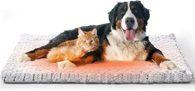 Papettly Self Warming Cat Bed 37 x 25.6 in - Beds for Indoor Outdoor Cats and Dogs, Machine Washable Cat Heating Pad, 2 in Thickened Pet Heating Pad for Cats & Dogs, Double Side Premium Soft