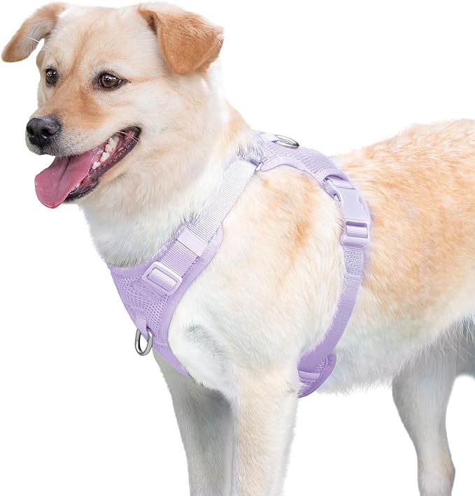 No Pull Dog Harness for Small Medium Large Dogs - Adjustable 2 Layer Mesh Dog Vest with Dual Clip, Escape Proof, Quick Release, Lightweight Breathable Mesh for Walking Hiking (Light Purple,L)