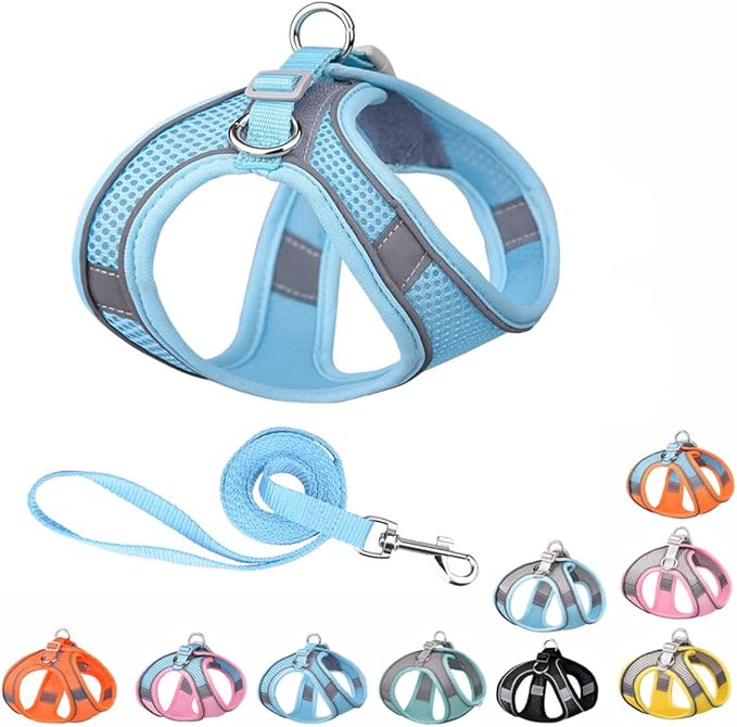 Blue Dog Harness for Medium Dogs, No-Pull Dog Harness and Leash for Easy Walk, Breathable Mesh Reflective Dog Vest for Small Medium Breed Pet Dogs, M