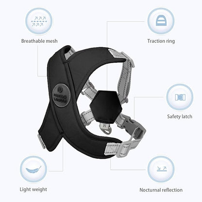 Patas Lague Dog Harness with Leash Set Adjustable Soft Padded Step-in Dog Vest No Choke No Pull Reflective for Small Medium Pets with Poop Bags and Dispenser, Solid and No-chew, Black S