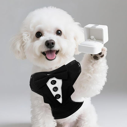 EXPAWLORER Dog Tuxedo Harness, Adjustable No Pull Pet Vest Harness with Leash Wedding Suit Attire with Bow Tie, Soft Padded Step-in Party Outfit Costume for Puppy Small Medium Dogs, Black M