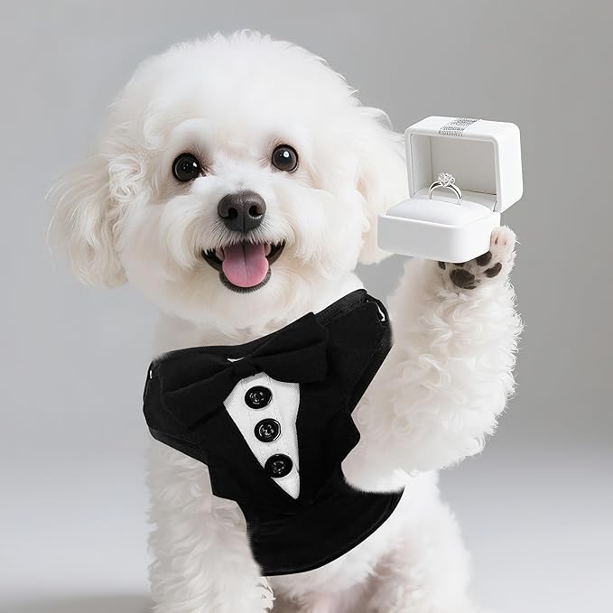EXPAWLORER Dog Tuxedo Harness, Adjustable No Pull Pet Vest Harness with Leash Wedding Suit Attire with Bow Tie, Soft Padded Step-in Party Outfit Costume for Puppy Small Medium Dogs, Black S