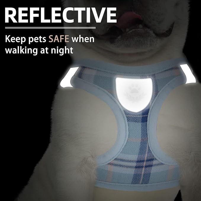 PUPTECK Adjustable Dog Harness Collar and Leash Set Step in No Pull Pet Harness for Small Medium Dogs Puppy and Cats Outdoor Walking Running, Soft Mesh Padded Reflective Vest Harnesses, Blue S