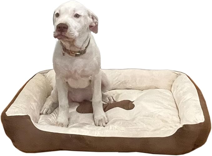 SciencePurchase Large 31" × 24" Luxury Pet Bed for Dogs or Cats - Super Soft, Machine Washable with Waterproof Non-Slip Underside, Low Wall for Easy Entering & Exiting, Folds for Travel & Storage
