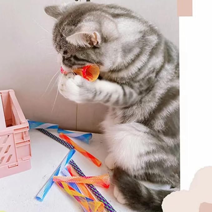 ISMARTEN Cat Spring Toys, 30 Packs Cat Tube Spring Toy Interactive Cat Toy for Indoor Cats, Plastic Spring Coils Attract Cats to Swat, Bite, Hunt(Random Color) (30 Packs)