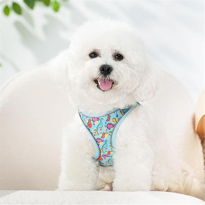 Step in Dog Harness No Pull Dinosaur Adjustable Soft Mesh Padded Reflective Pet Vest Harness and Leash Set for Small Medium Dogs