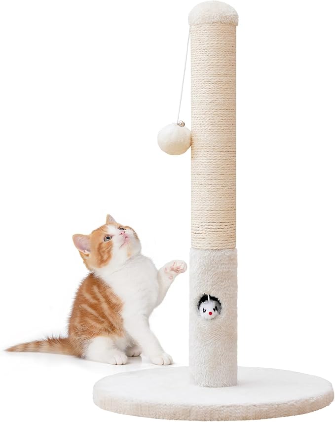 Woochpet Cat Scratching Post for Kitten, 23in Tall Cute Small Cat Scratching Post with Premium Sisal Rope and Dangling Cat Toy Balls (White