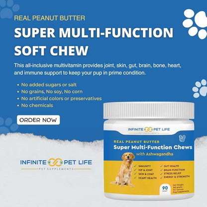 Super Multi-Vitamin Chew with Ashwagandha. Multivitamin for Joint, Skin, Gut, Brain, Bone, Heart & Immune Health - All Natural Ashwagandha, Curcumin, Pumpkin Powder & Vitamin C (90 Chews).