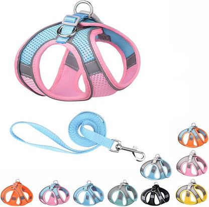 XSmall Dog Harness and Leash Set, No-Pull Puppy Harness for Easy Walk, Breathable Mesh Reflective Cat Vest for XXS Xs Small Medium Breed Pet Dogs, Pink Blue XS
