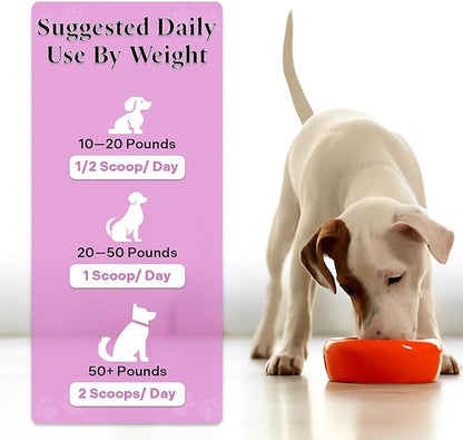 Healthy Dogma - Peaceful Pooch | Powder Calming Supplement for Dogs Dealing with Anxiety, Separation Stress, Noise, Thunder and Barking (6 Oz)