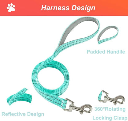 Hipubby Dog Harness Small Sized and Leash Set, No Pull Soft Mesh Puppy Vest, Reflective Breathable Lightweight Pet Harness, Harness for Small Medium Dogs and Cats - Pink Green, XXS