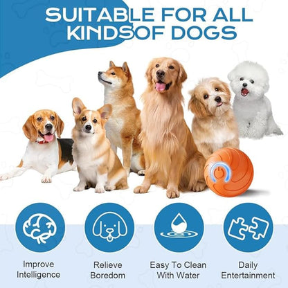 Smart Jumping Ball for Dogs,Duraspin Dog Bouncing Ball,Automatic Rolling,Interactive Bouncing Toys for Small Dogs,Dog, Blue